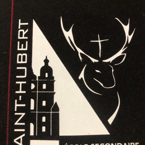 Impression DTF 1 couleur visant à être apposée sur des tee-shirts